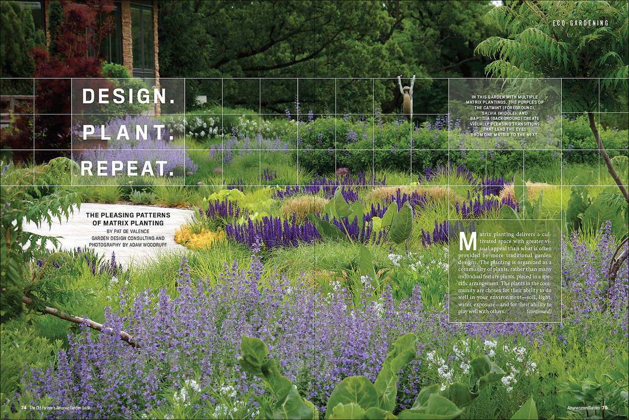 2024 Garden Guide - Online Edition - Image 10