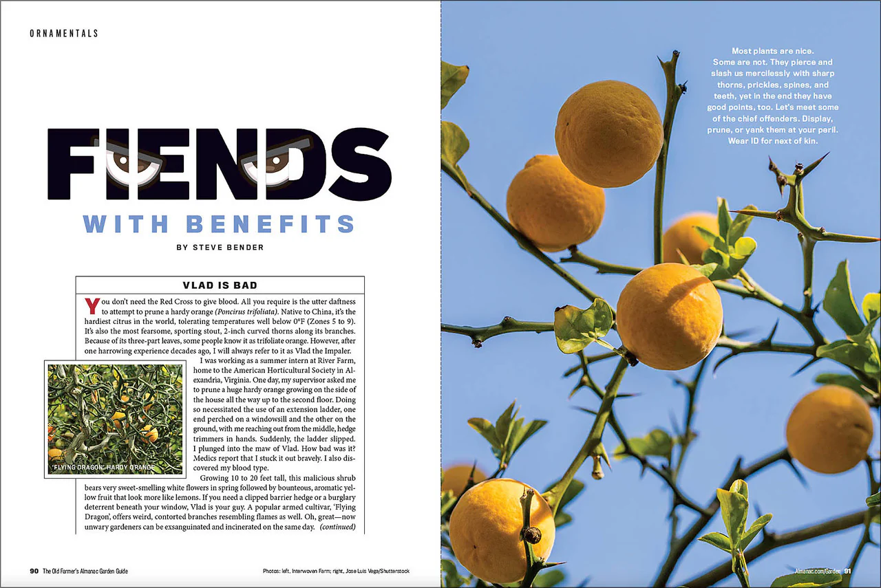 2024 Garden Guide - Online Edition - Image 4