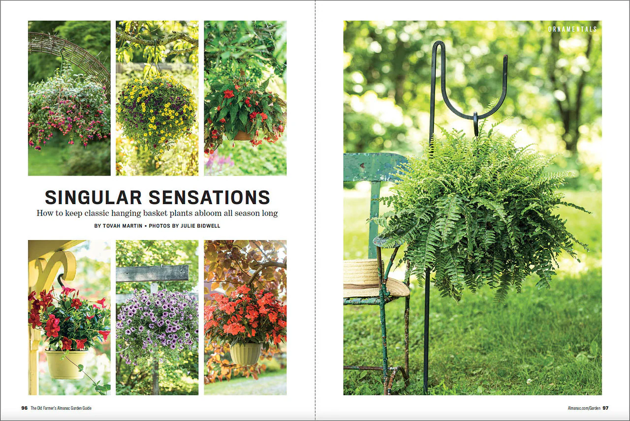 2024 Garden Guide - Online Edition - Image 5