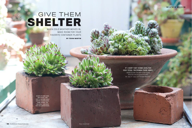 2025 Garden Guide - Online Edition - Image 3