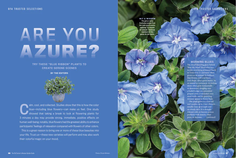 2025 Garden Guide - Online Edition - Image 8