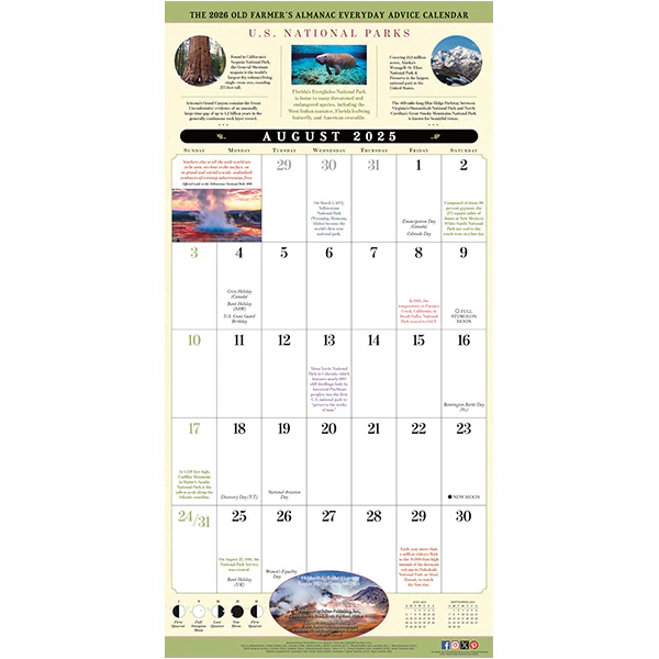 2026 Calendar of Everyday Advice (17-Month Wall Planner) - Image 4