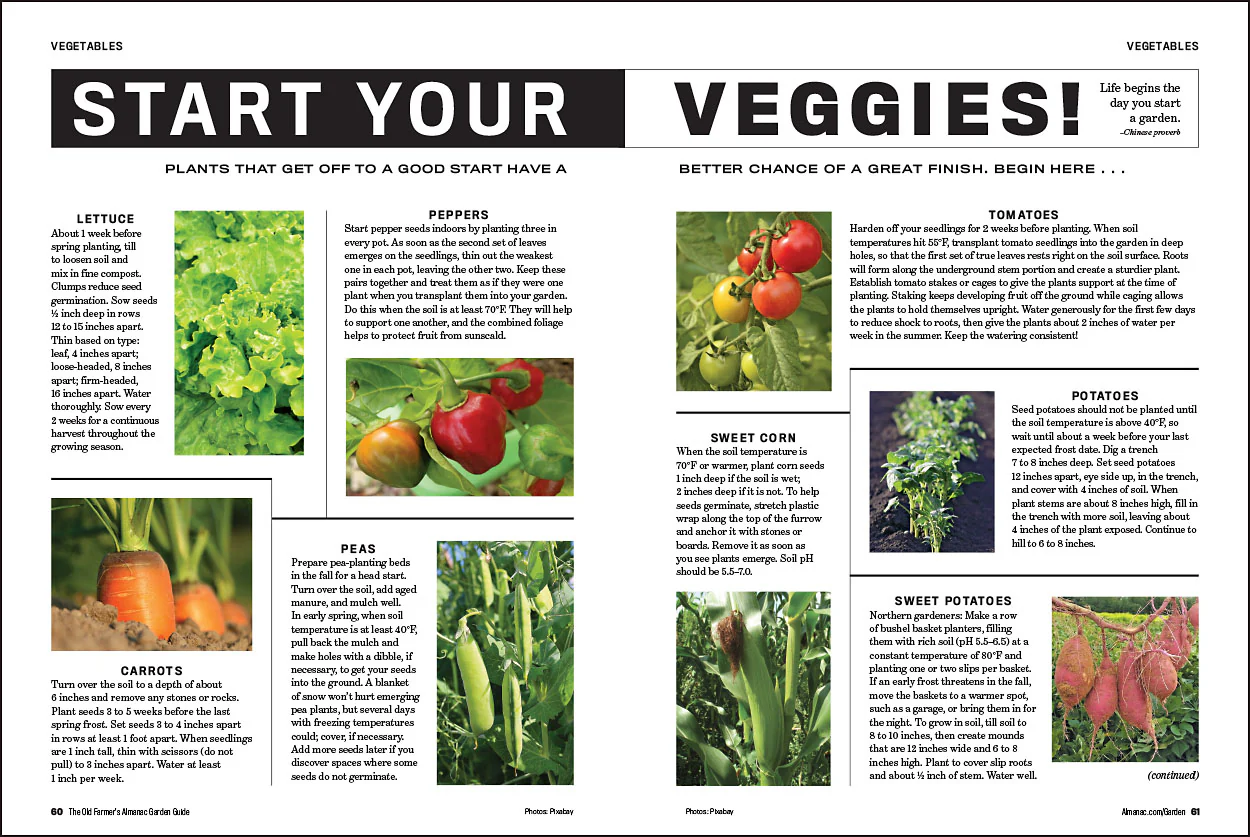 2026 Garden Guide - Online Edition - Image 3