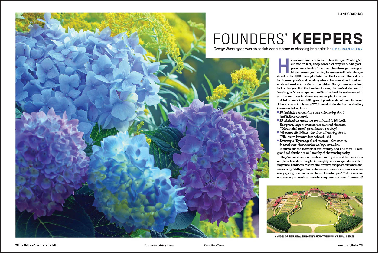2026 Garden Guide - Online Edition - Image 5