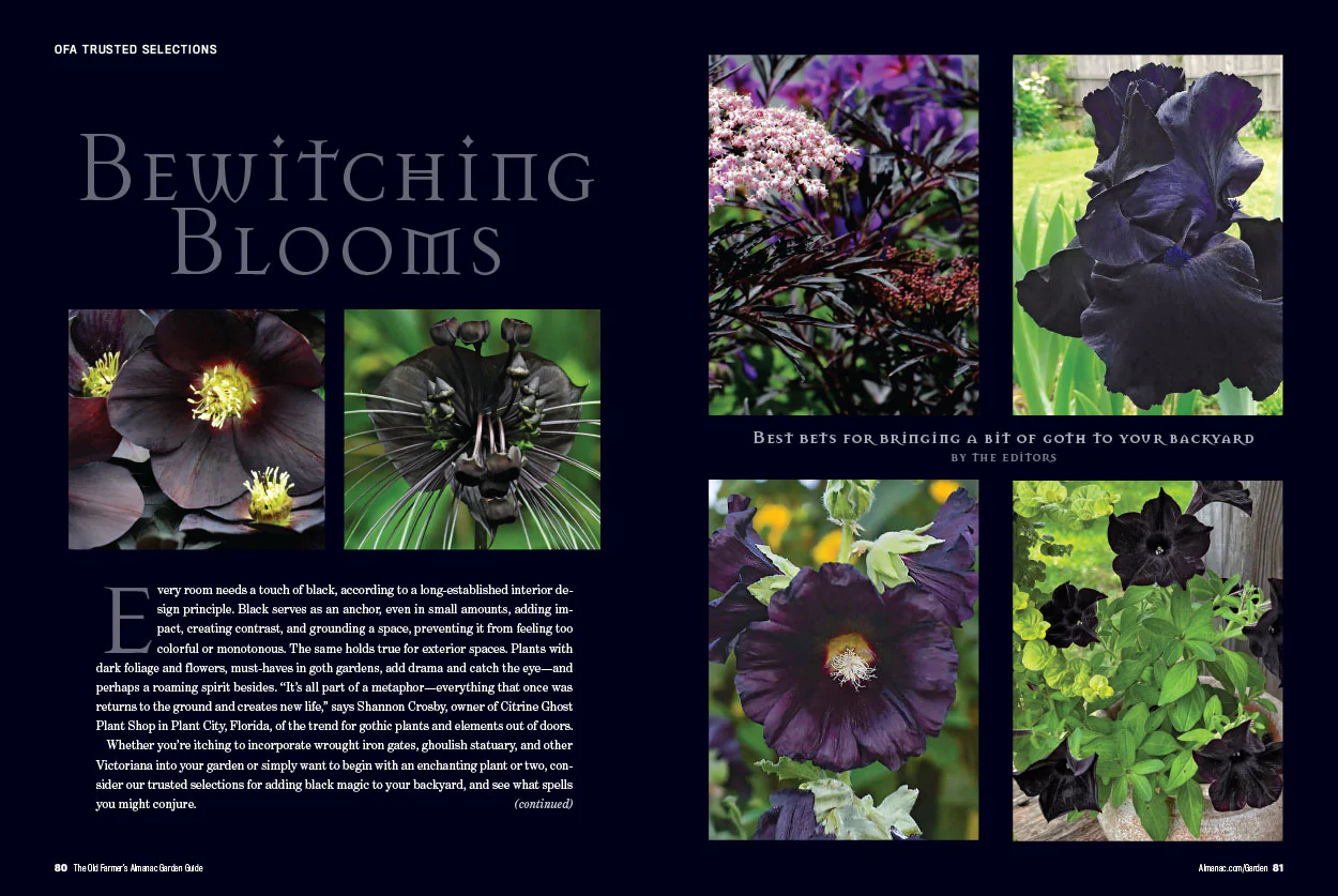 2026 Garden Guide - Online Edition - Image 6