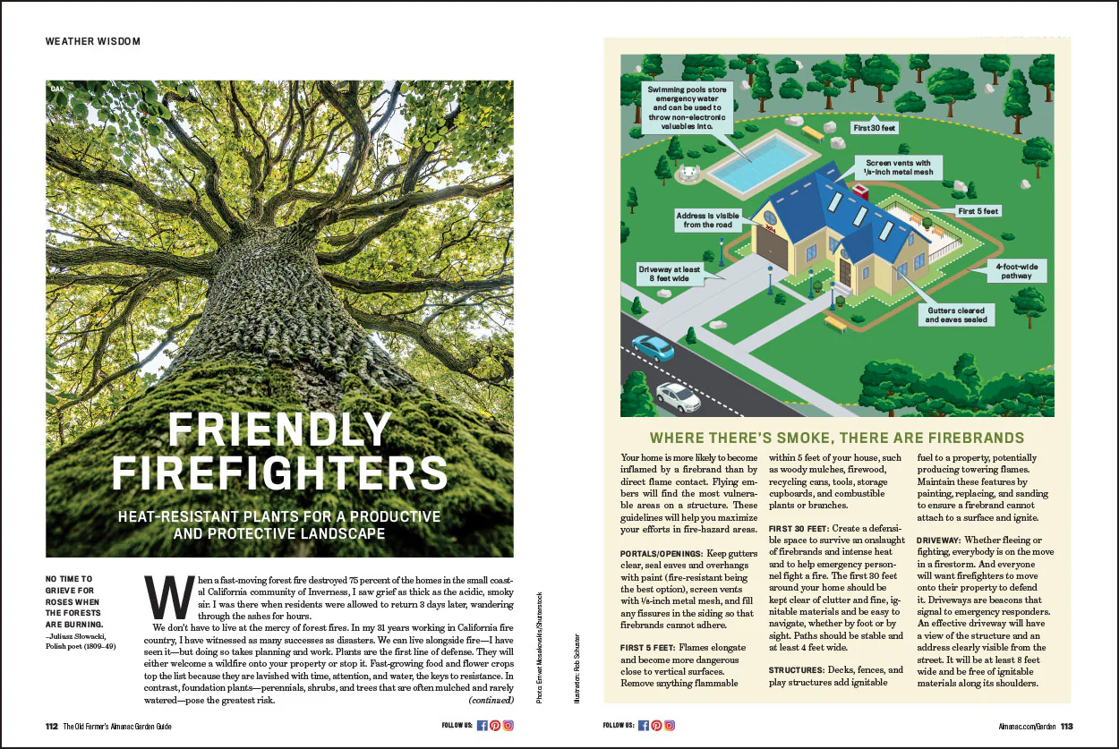2026 Garden Guide - Online Edition - Image 7