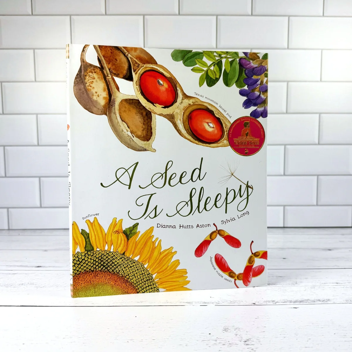 A Seed is Sleepy - Image 4