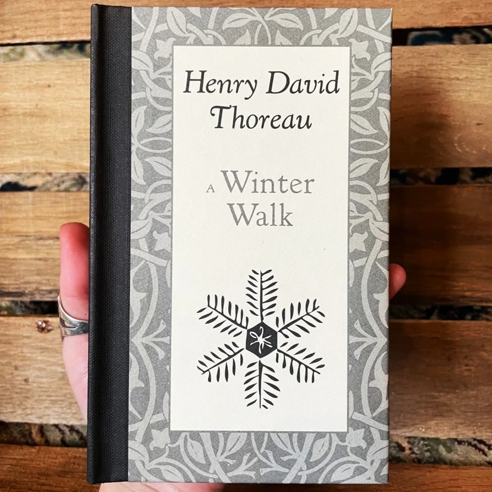 A Winter Walk - Image 2
