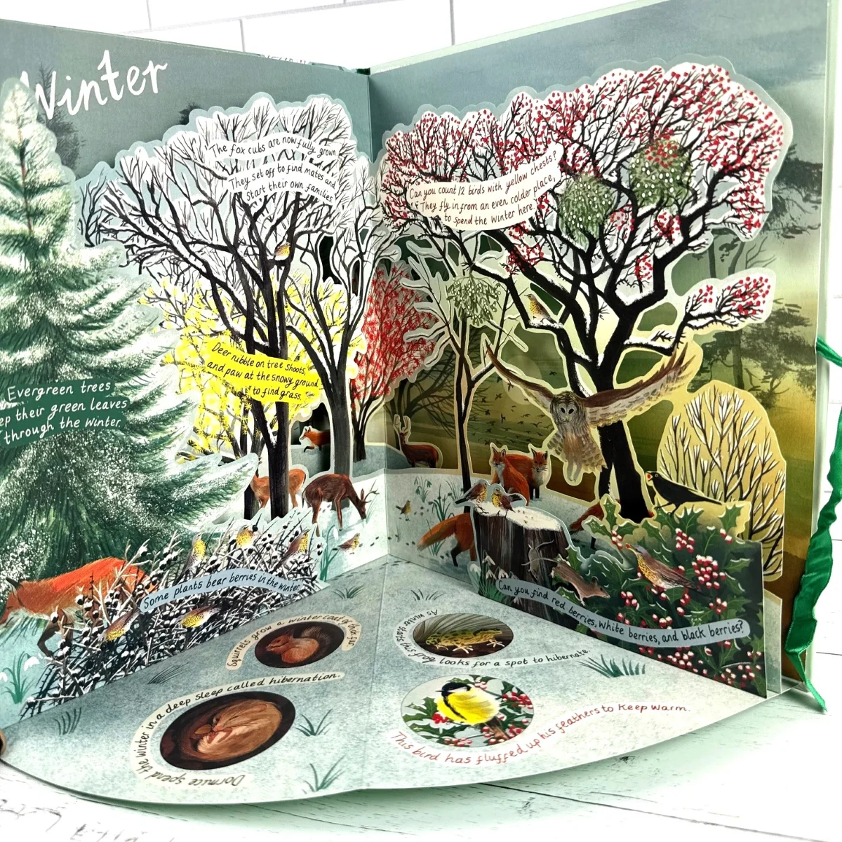 A Year in Nature: A Carousel Book of the Seasons - Image 2