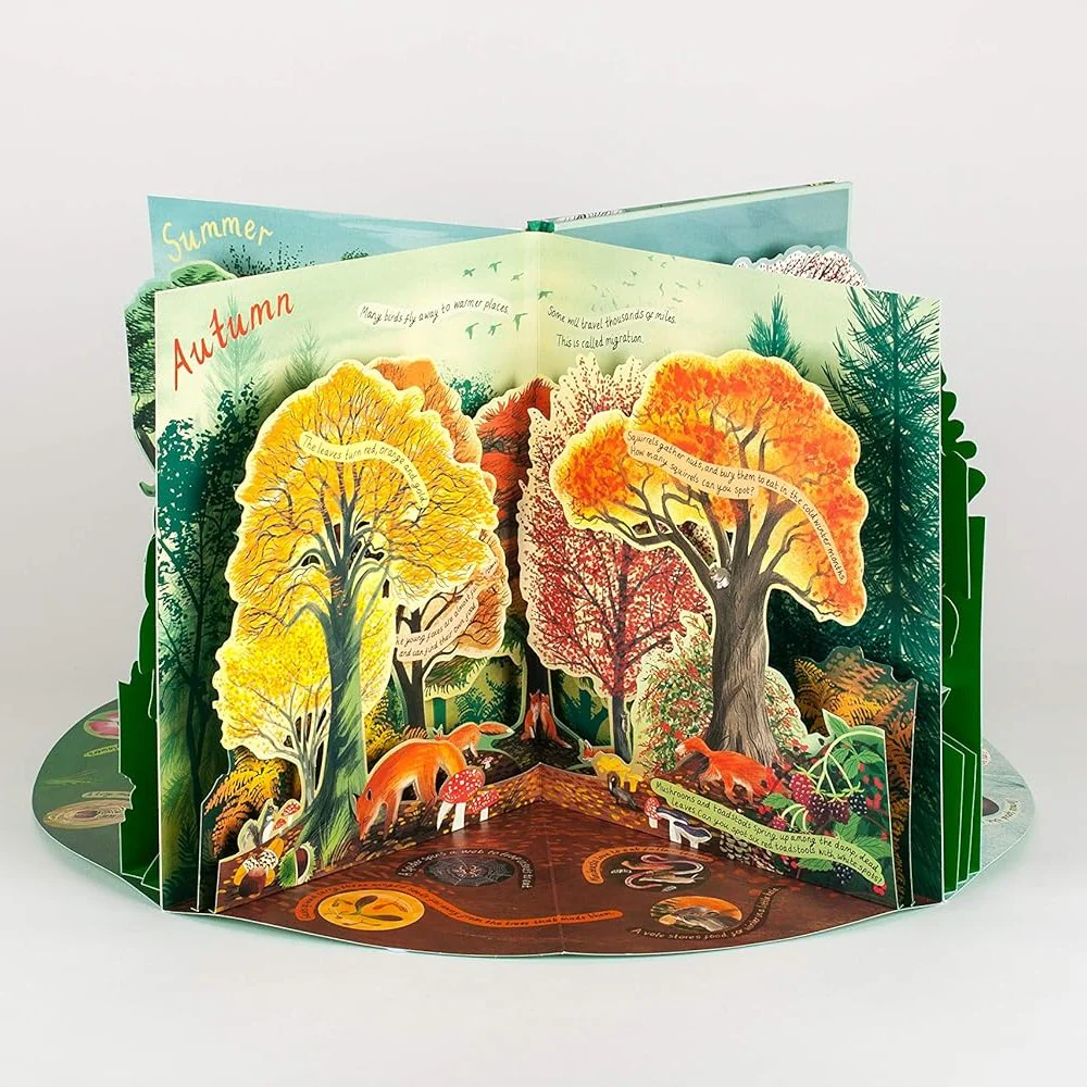A Year in Nature: A Carousel Book of the Seasons - Image 3