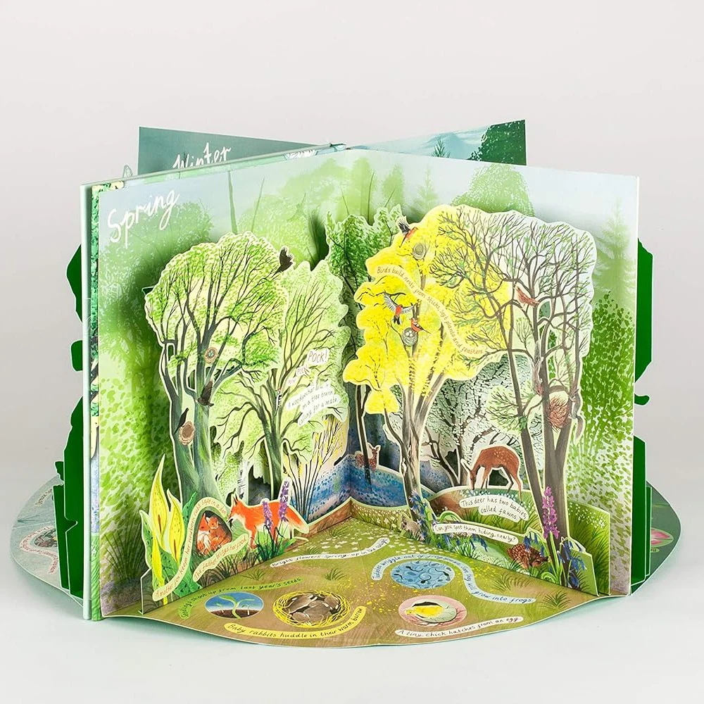 A Year in Nature: A Carousel Book of the Seasons - Image 6