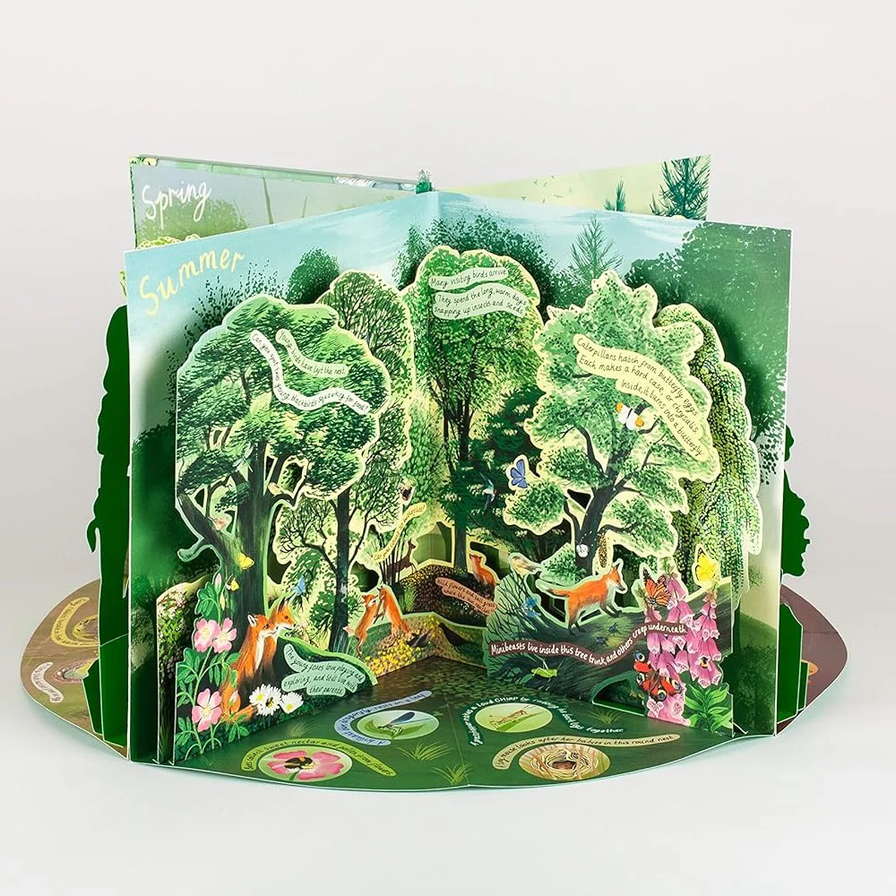 A Year in Nature: A Carousel Book of the Seasons - Image 7