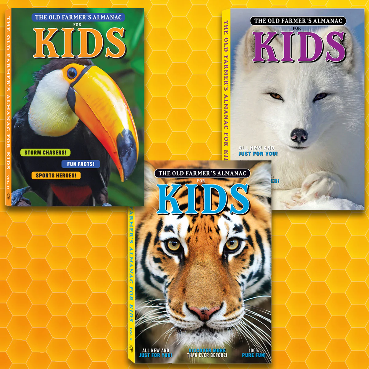 Almanac for Kids - 3 Volume Bundle - Image 3
