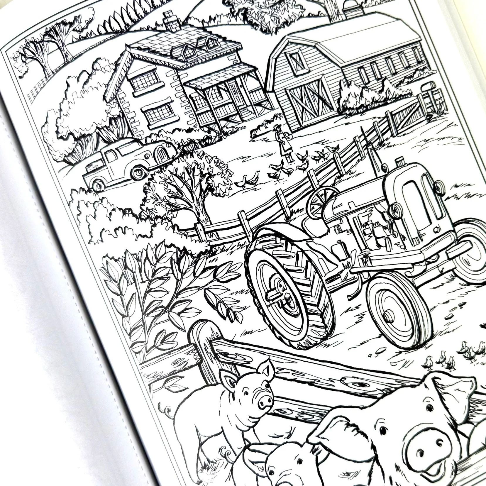 Almanac for Kids - Creative Kids Bundle - Image 10