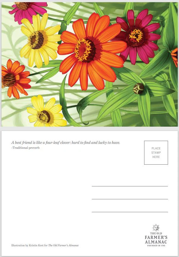 Almanac Postcards 4-Pack - Image 3