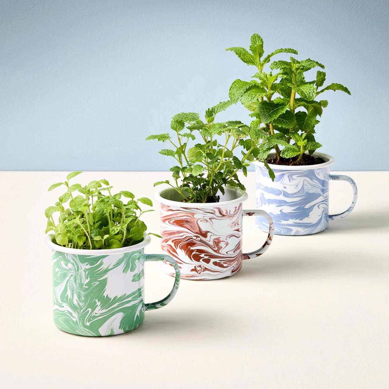 Altered Herbs Mug Grow Kits - Image 3