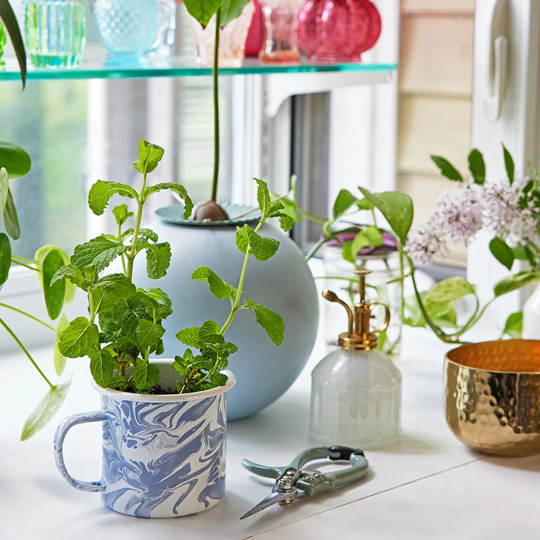 Altered Herbs Mug Grow Kits - Image 8