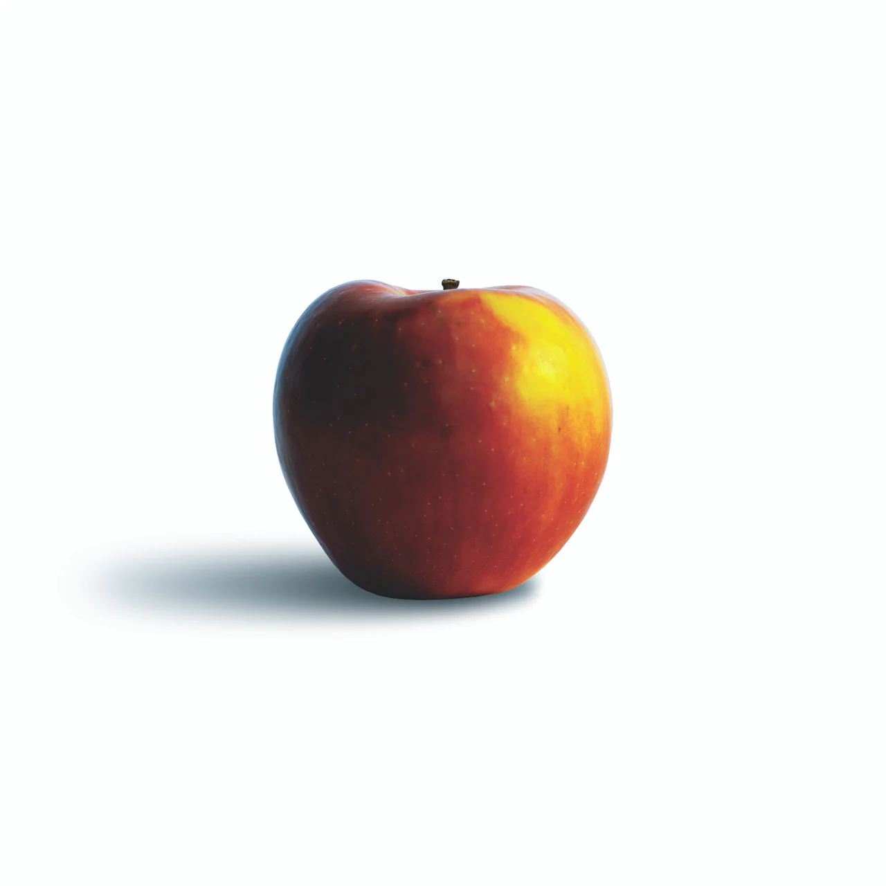 The Apple Lover's Cookbook - Image 10
