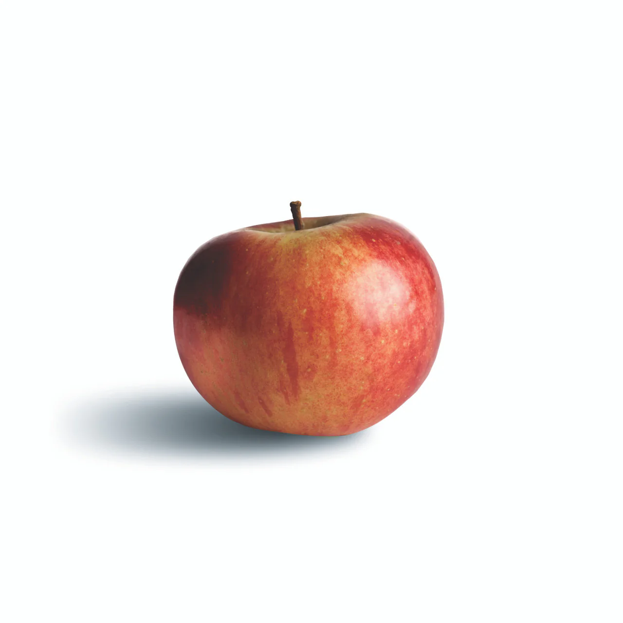 The Apple Lover's Cookbook - Image 5