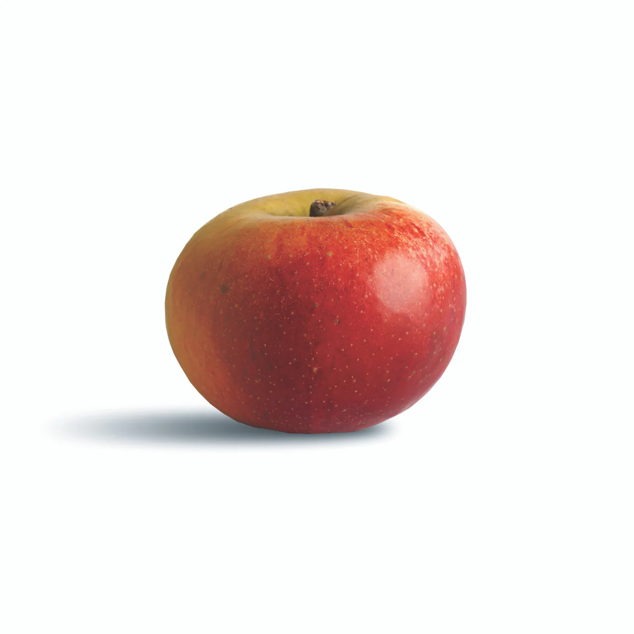 The Apple Lover's Cookbook - Image 7