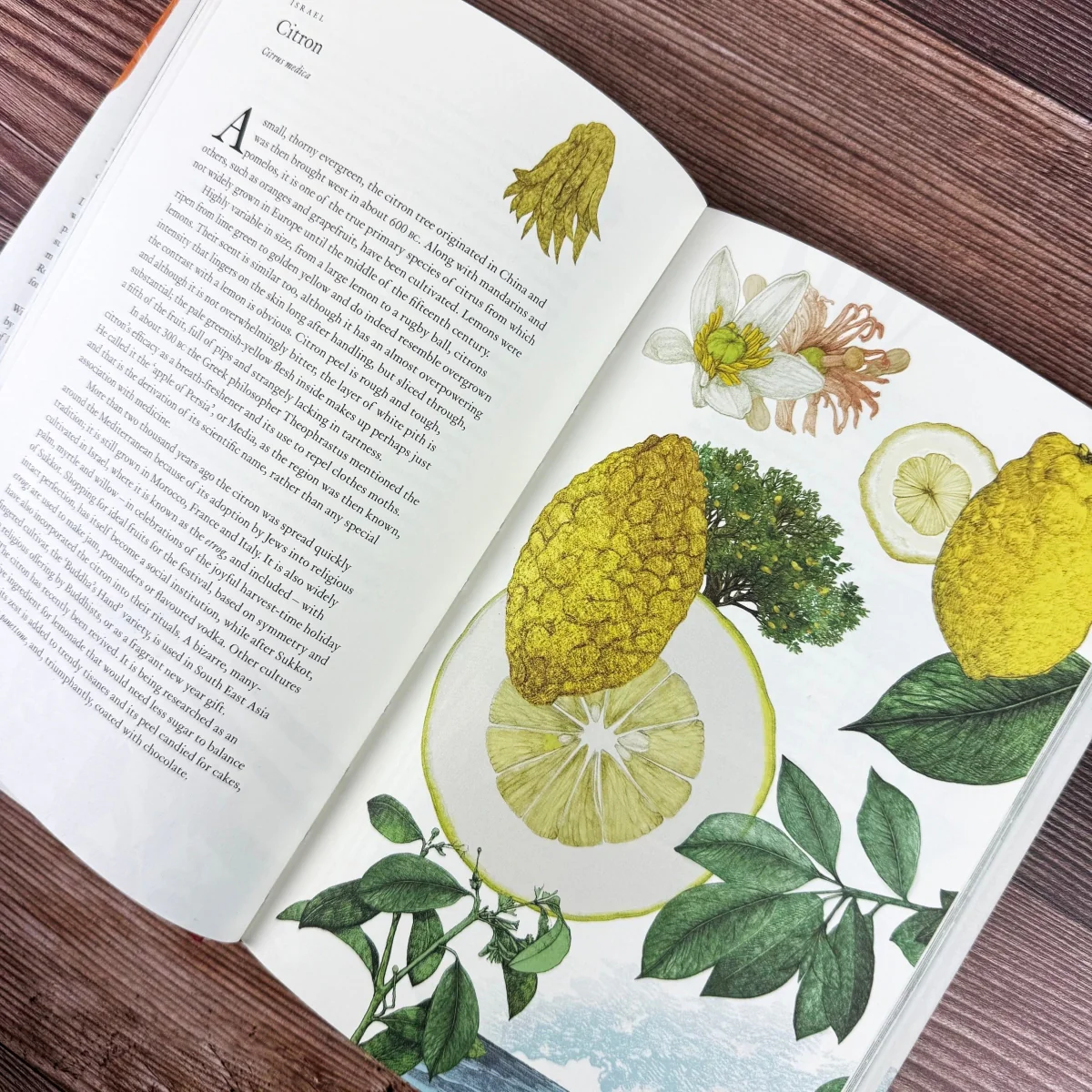 Around the World in 80 Plants - Image 3