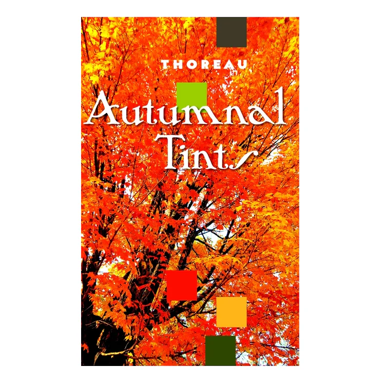 Autumnal Tints - Image 3