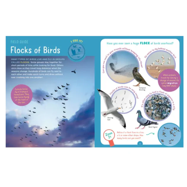 Backpack Explorer: Bird Watch - Image 5