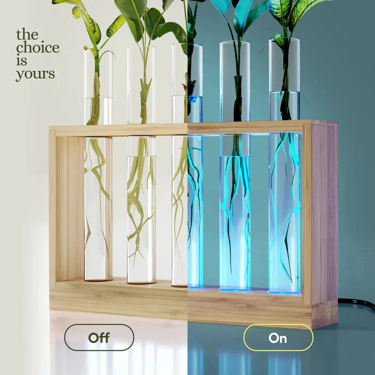 Light Up Bamboo Vial Air Planter - Tube Style - Image 4