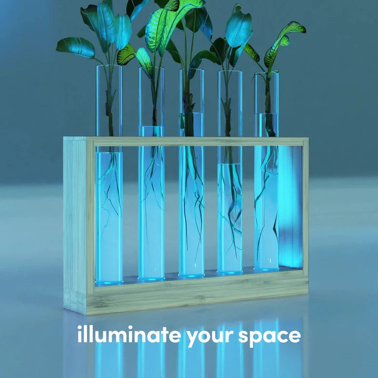Light Up Bamboo Vial Air Planter - Tube Style - Image 7