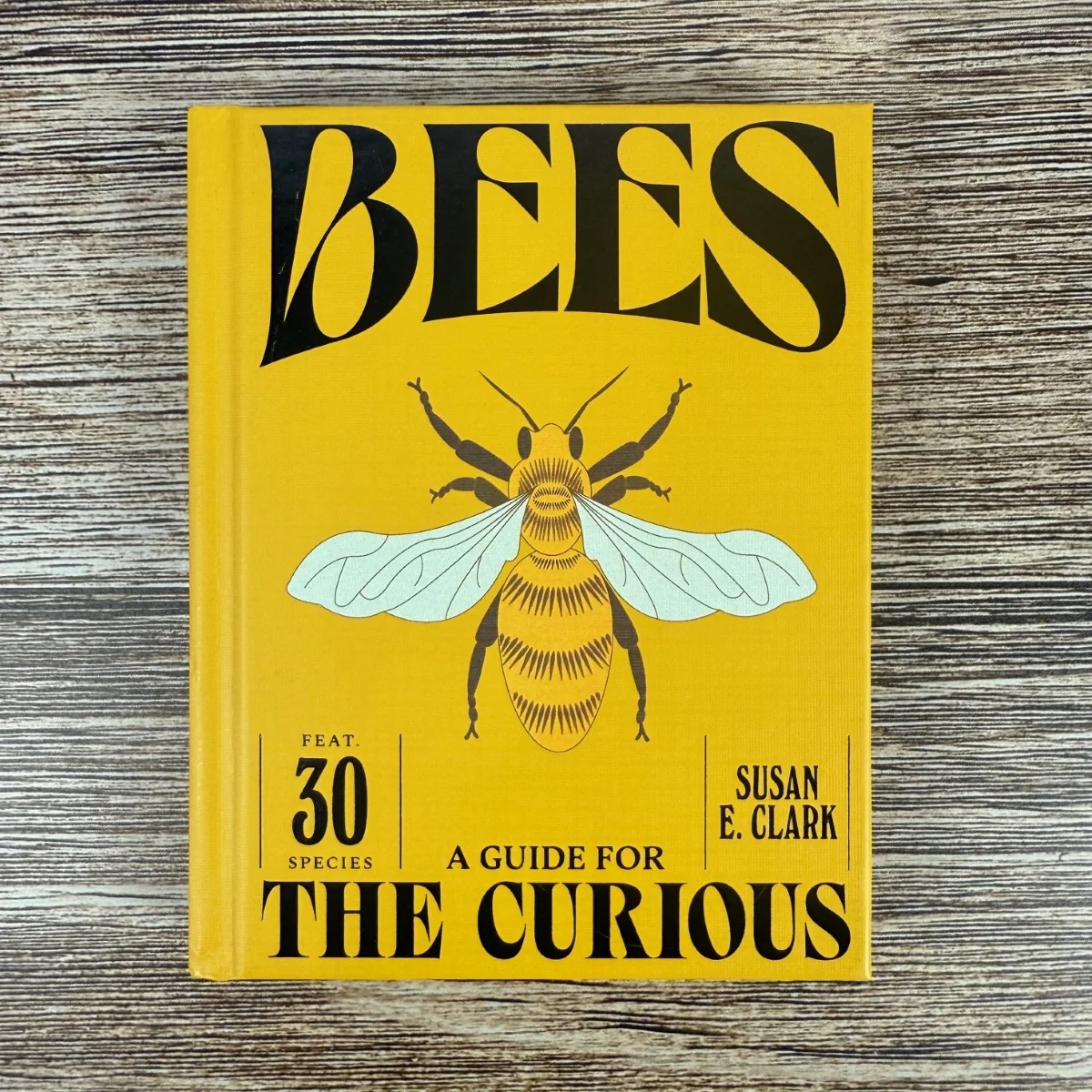 Bees: A Guide for the Curious - Image 4