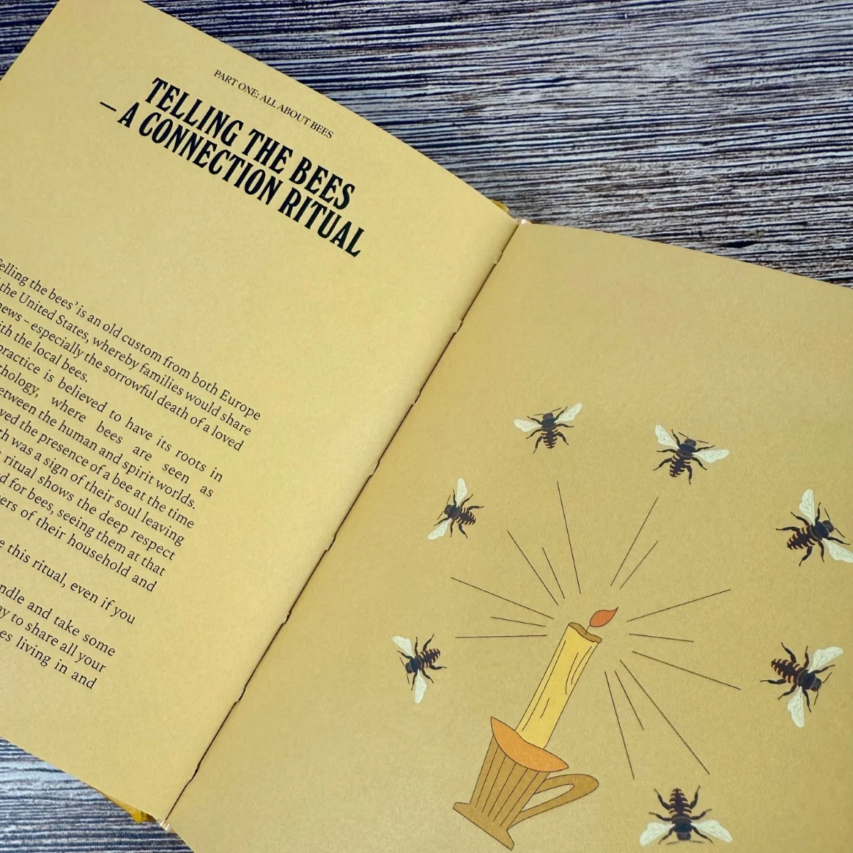 Bees: A Guide for the Curious - Image 5