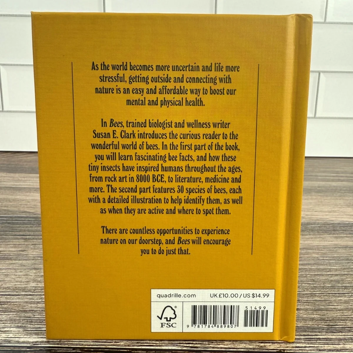 Bees: A Guide for the Curious - Image 7