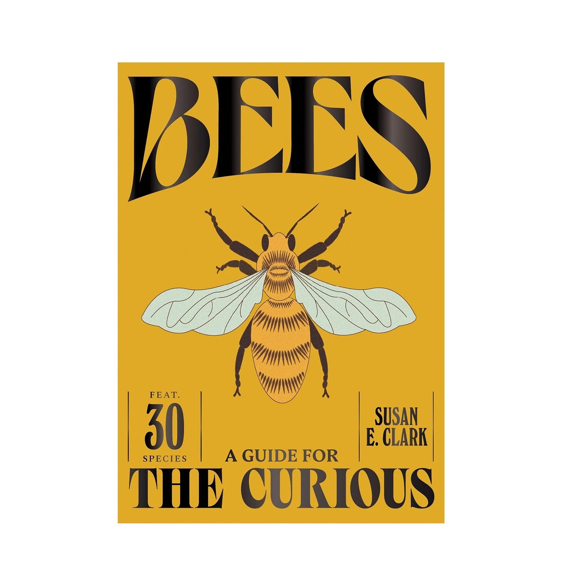 Bees: A Guide for the Curious - Image 8