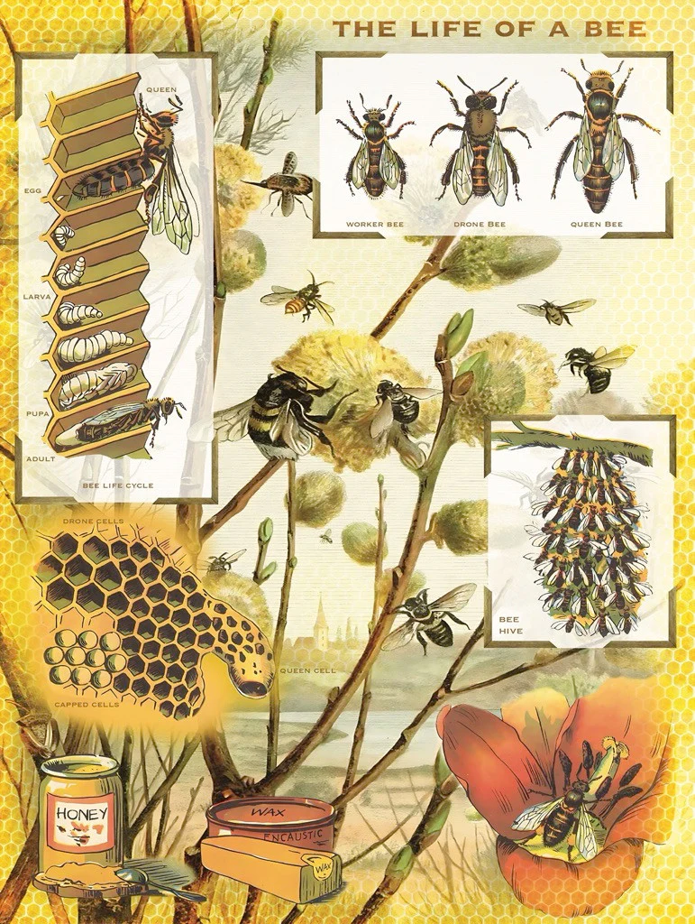 Bees & Honey ~ Jigsaw Puzzle 1000 Piece - Image 3