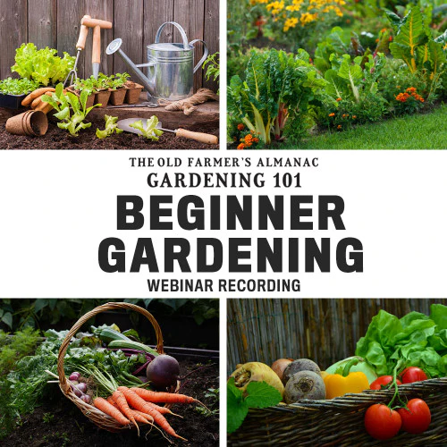 Beginners Guide to Gardening Webinar  Recording - Image 2