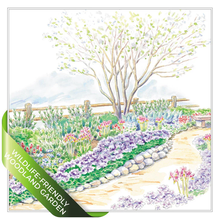 Bird-Friendly Garden Plan SuperBundle - Image 2