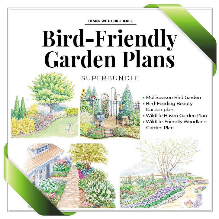 Bird-Friendly Garden Plan SuperBundle - Image 3