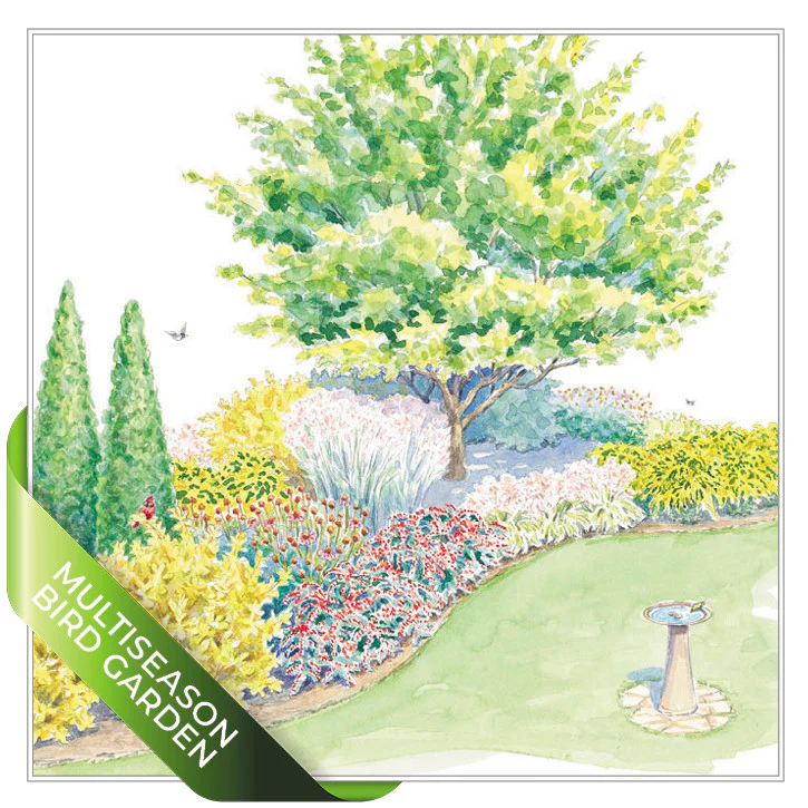 Bird-Friendly Garden Plan SuperBundle - Image 4