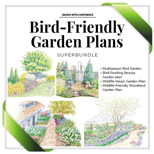 Bird-Friendly Garden Plan SuperBundle - Image 6