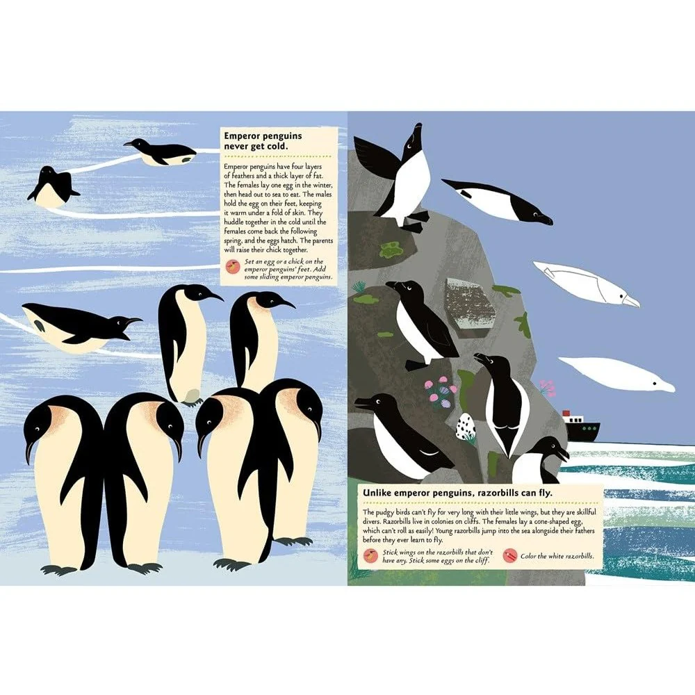 Birds of the World: My Nature Sticker Activity Book - Image 3