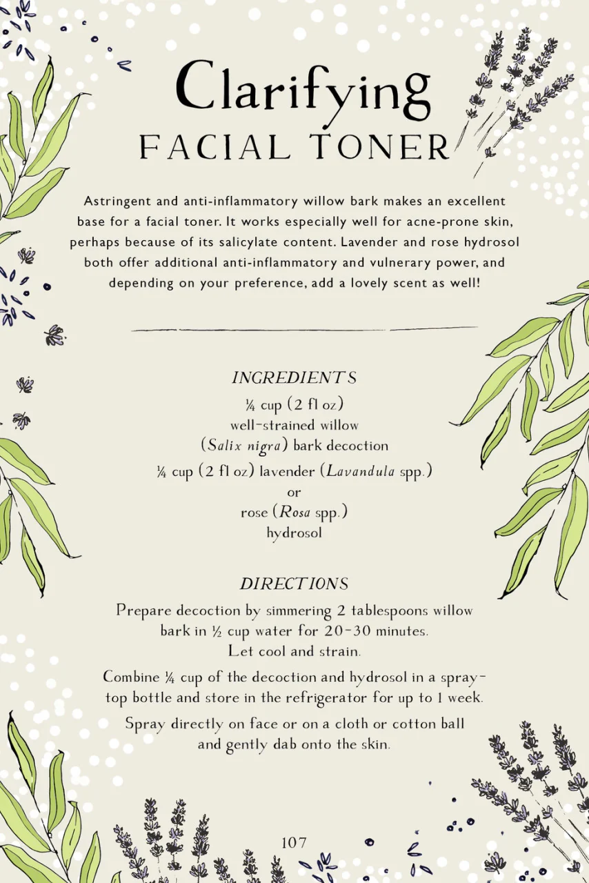 Botanical Skin Care Recipe Book - Image 3