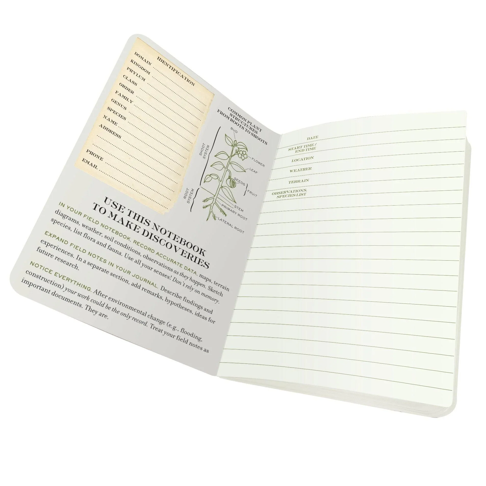 Botany Naturalist's Notebook - Image 4