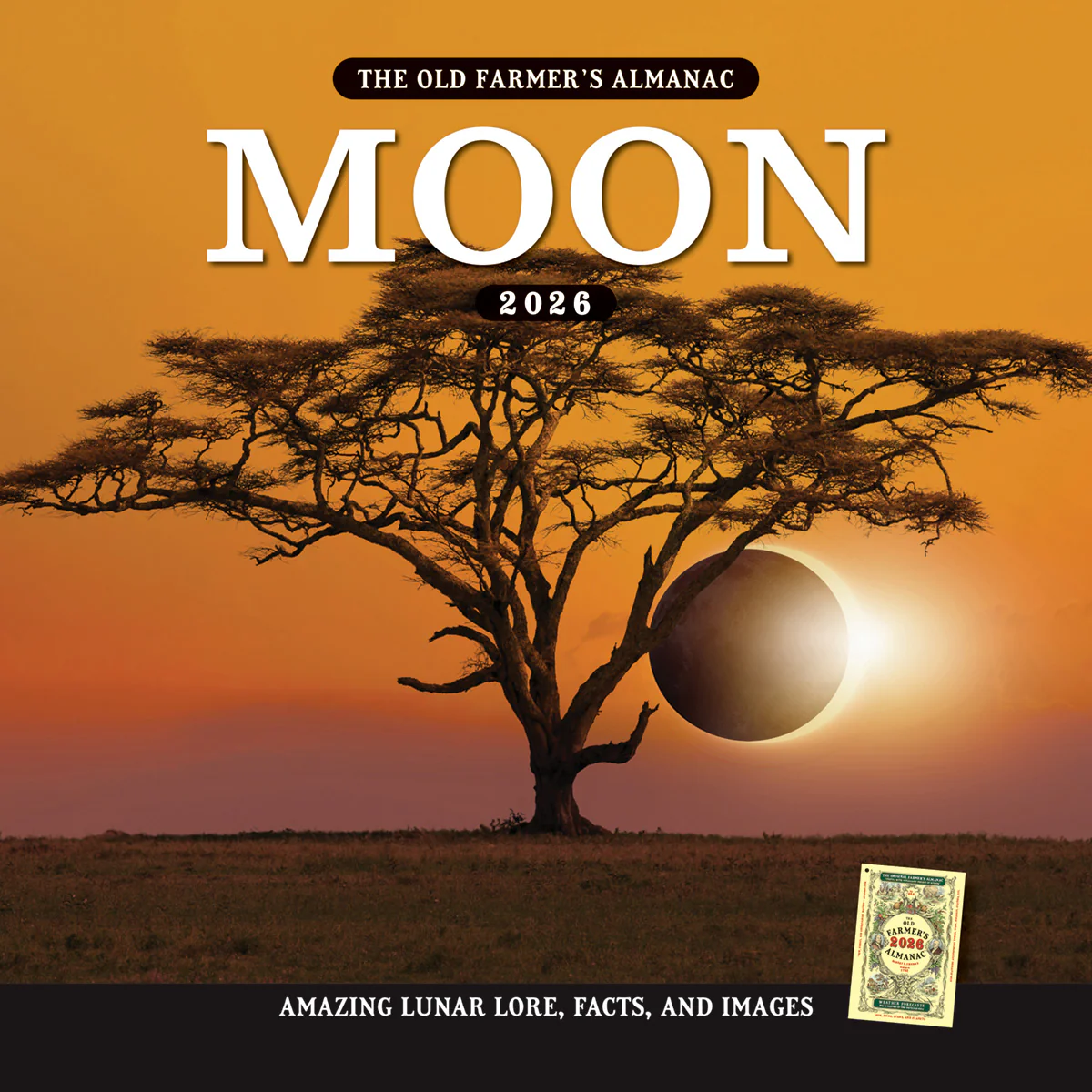 2026 Moon Calendar - Image 6