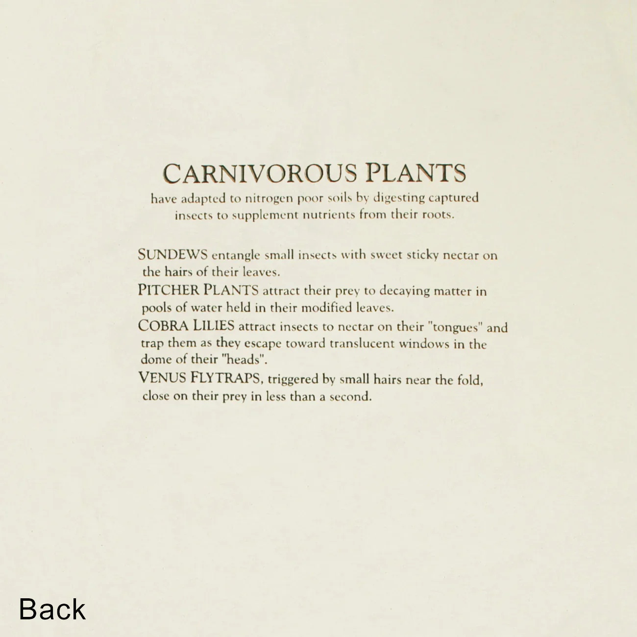 Carnivorous Plants Youth Tee - Image 3