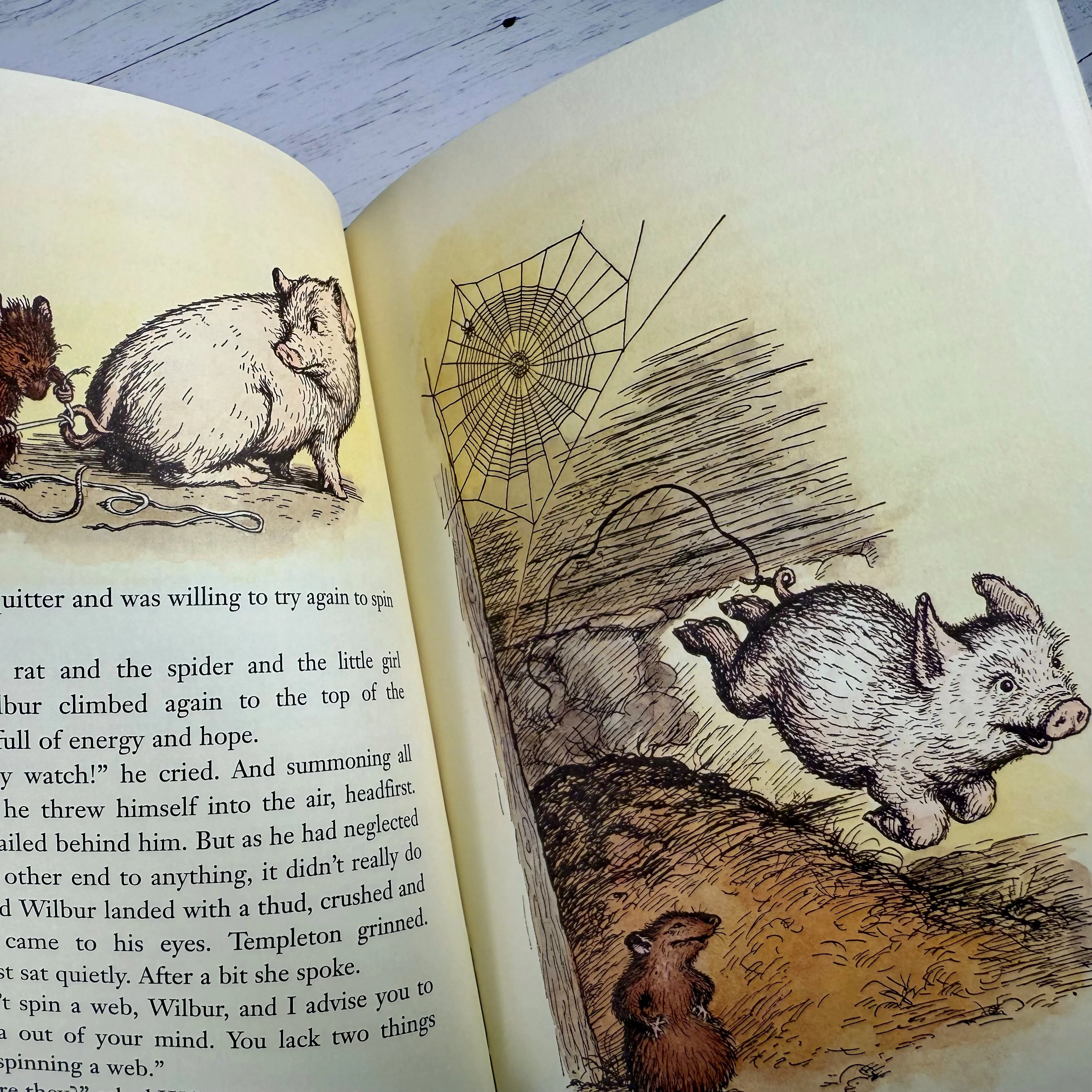 Charlotte's Web - Image 3