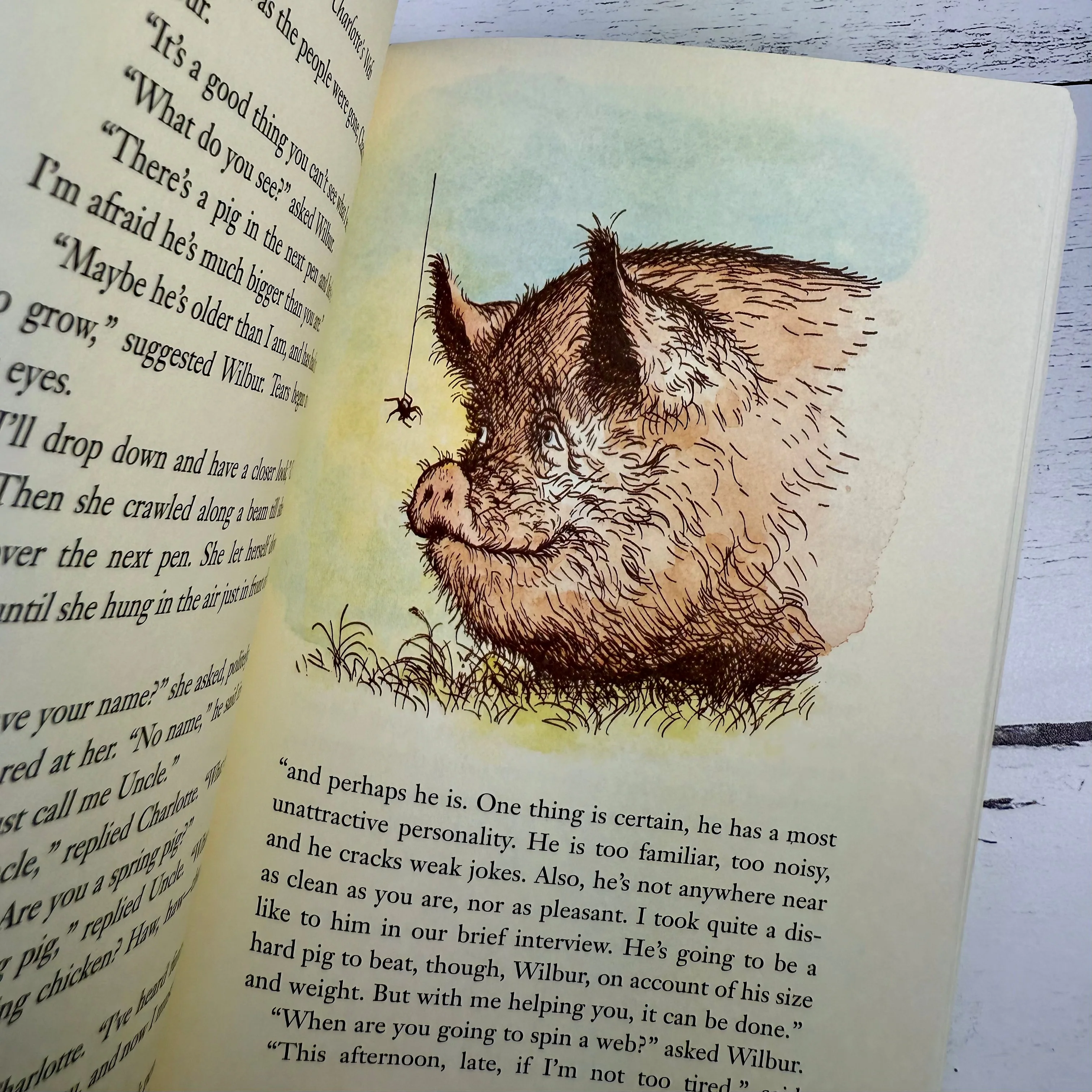 Charlotte's Web - Image 4