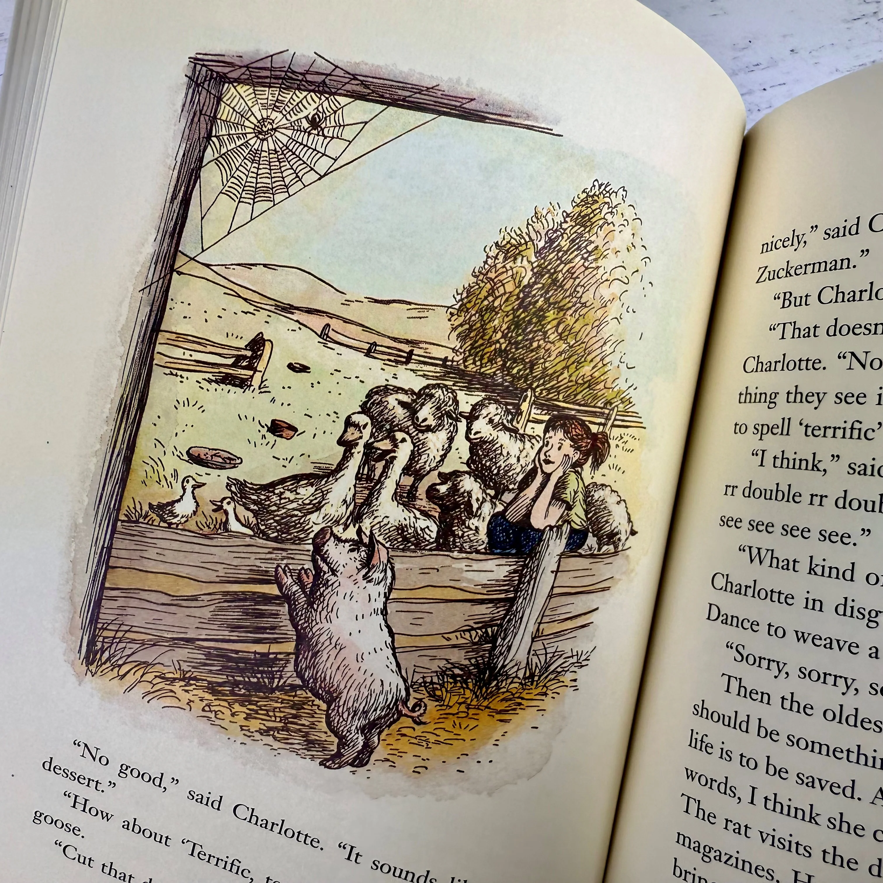 Charlotte's Web - Image 5