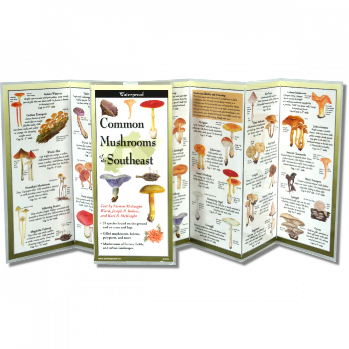 Common Mushrooms of the Southeast, Folding Guide - Image 2