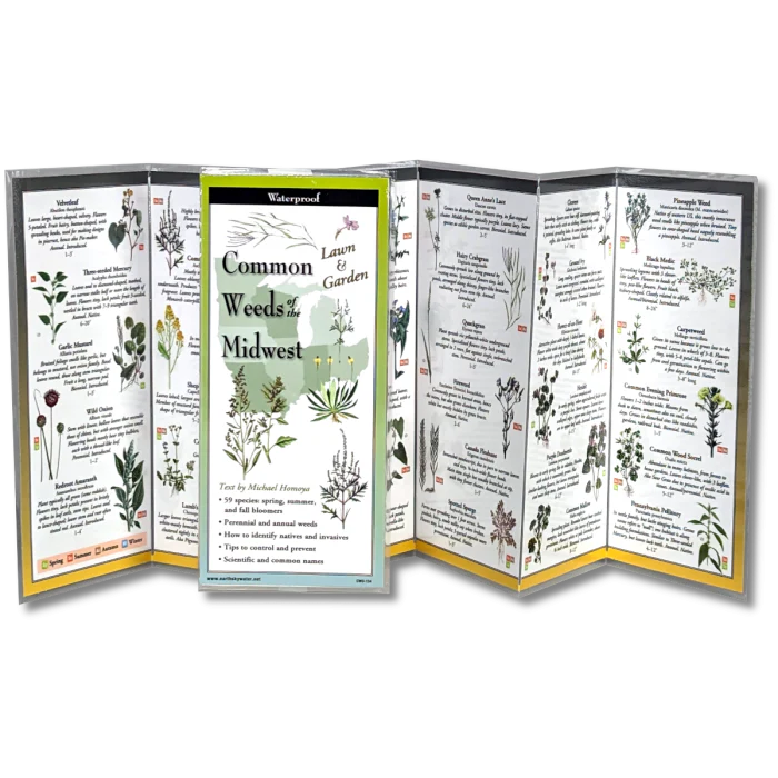 Common Weeds of the Midwest, Folding Guide - Image 2