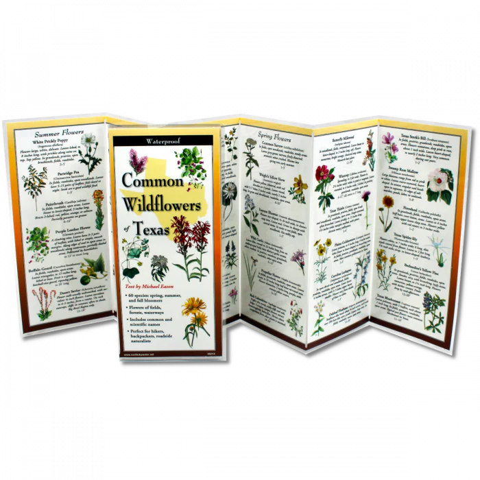 Common Wildflowers Texas, Folding Guide - Image 2